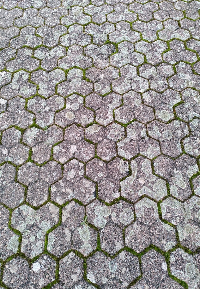 Pavés